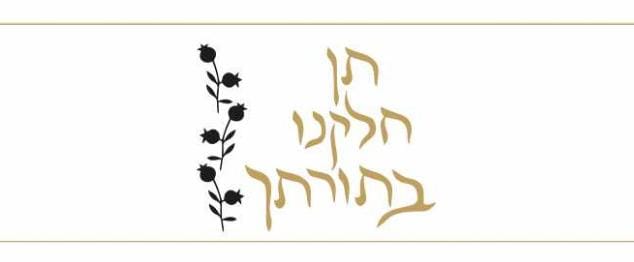 פרוכת לבימה תן חלקנו בתורתך