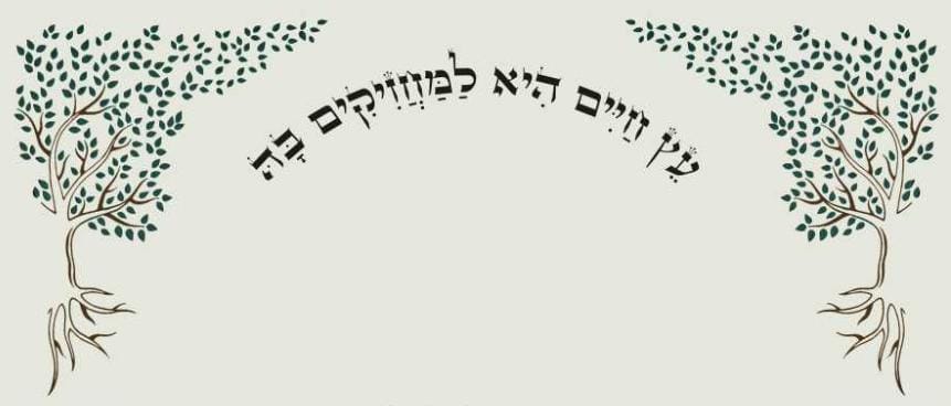 פרוכת לבימה עץ חיים היא למחזיקים בה