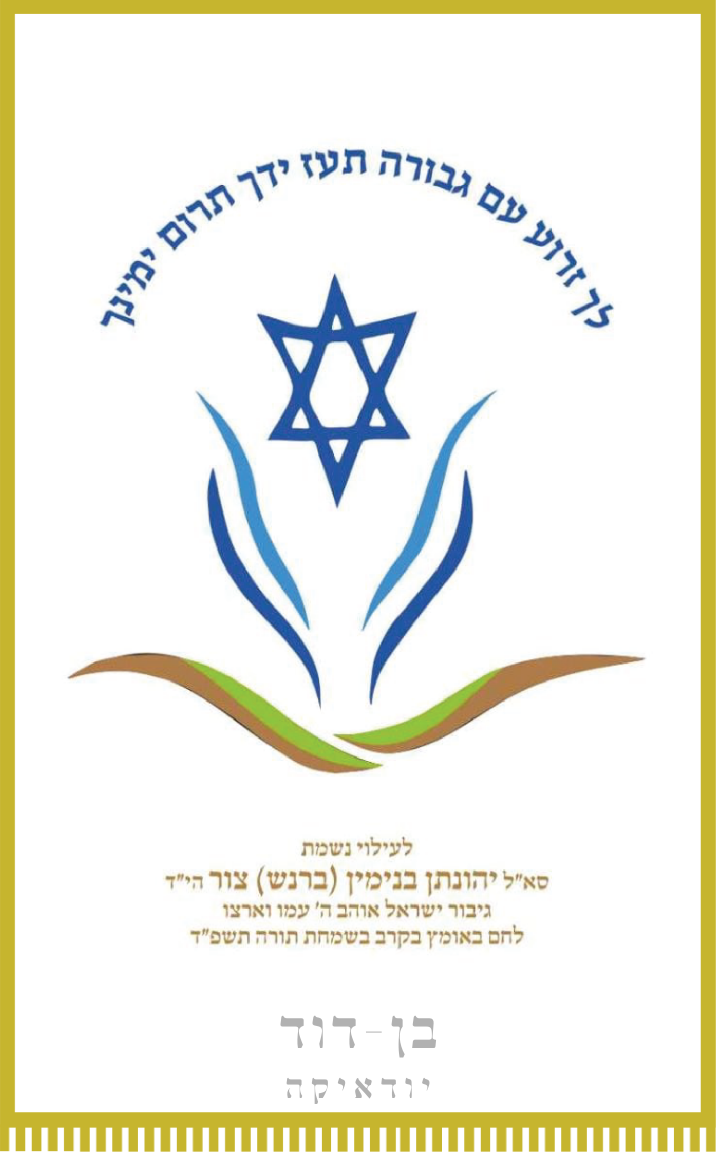 פרוכת 15
