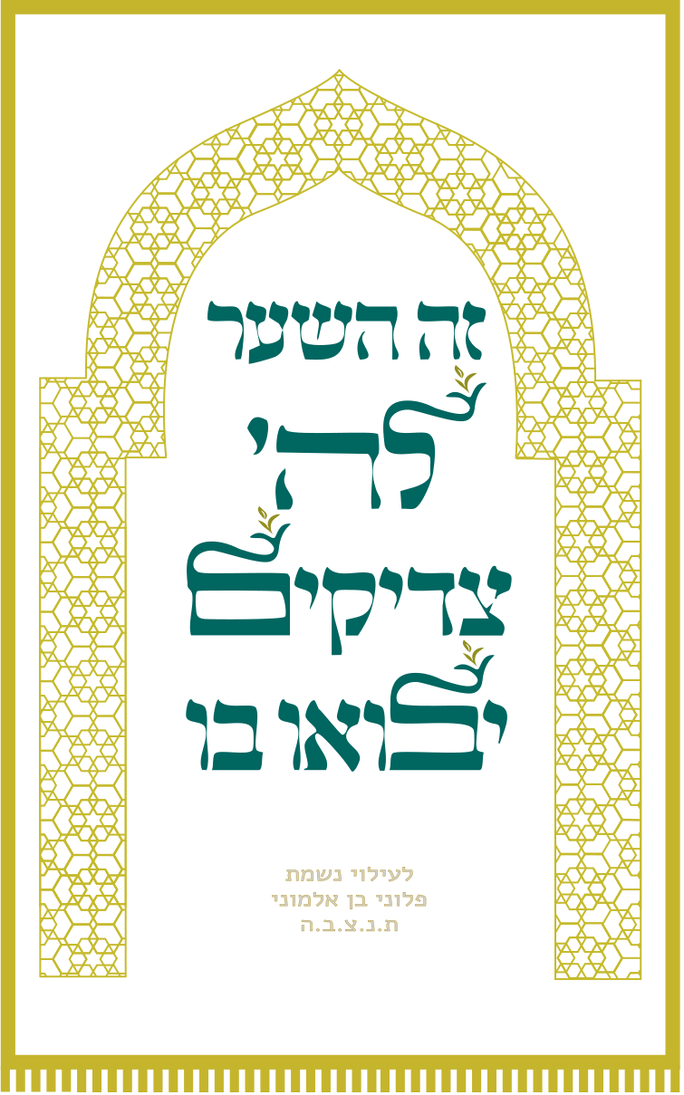 פרוכת 17