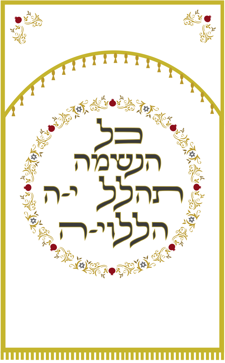 פרוכת 20
